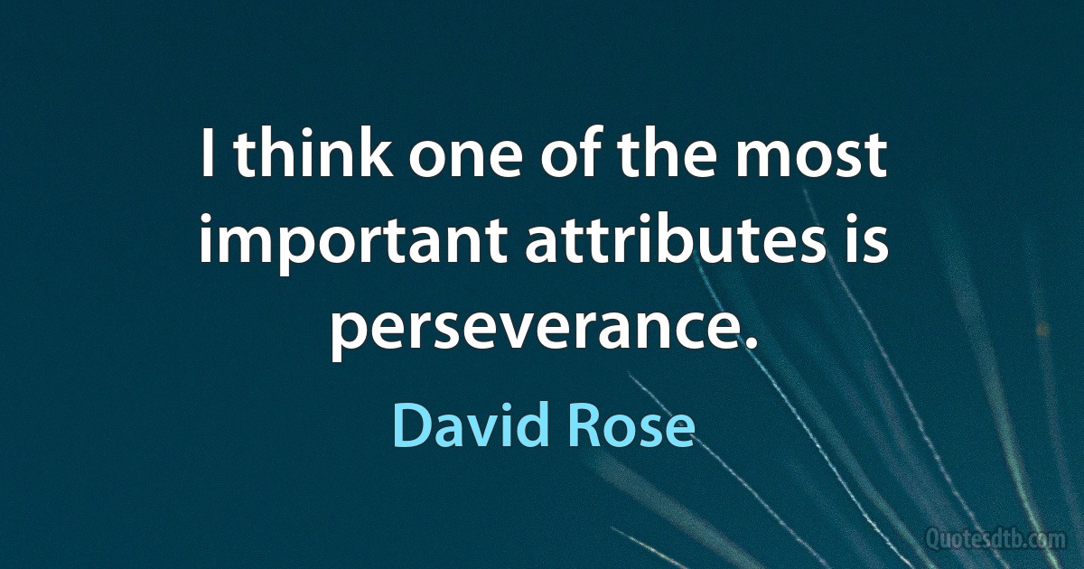 I think one of the most important attributes is perseverance. (David Rose)