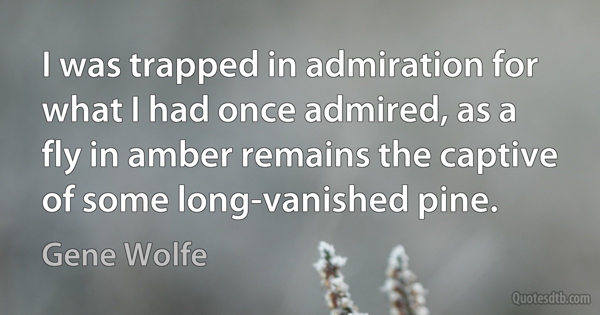 I was trapped in admiration for what I had once admired, as a fly in amber remains the captive of some long-vanished pine. (Gene Wolfe)