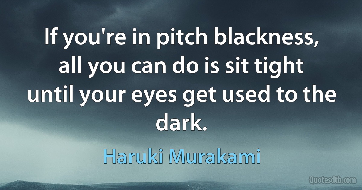 If you're in pitch blackness, all you can do is sit tight until your eyes get used to the dark. (Haruki Murakami)