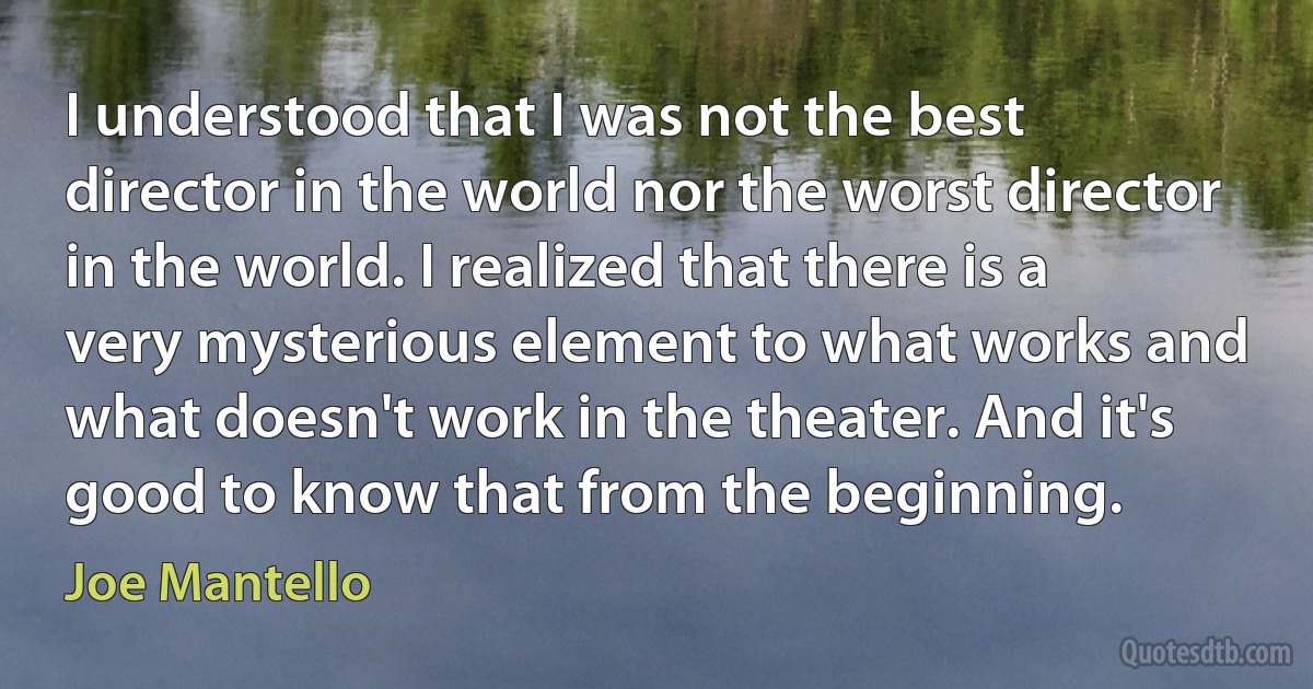 I understood that I was not the best director in the world nor the worst director in the world. I realized that there is a very mysterious element to what works and what doesn't work in the theater. And it's good to know that from the beginning. (Joe Mantello)