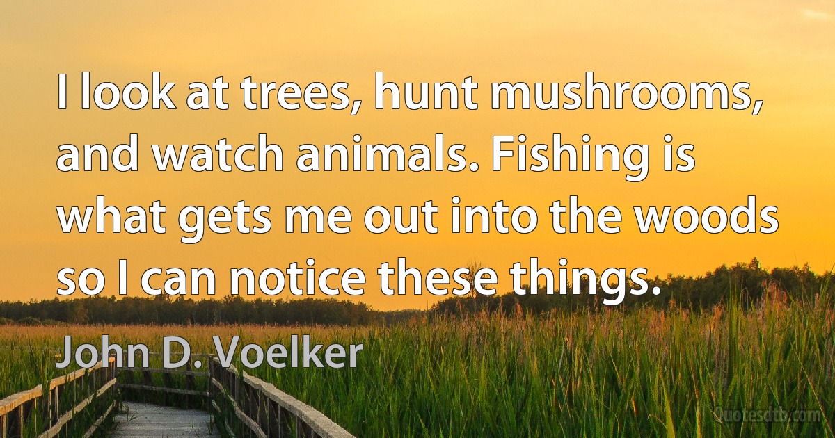 I look at trees, hunt mushrooms, and watch animals. Fishing is what gets me out into the woods so I can notice these things. (John D. Voelker)