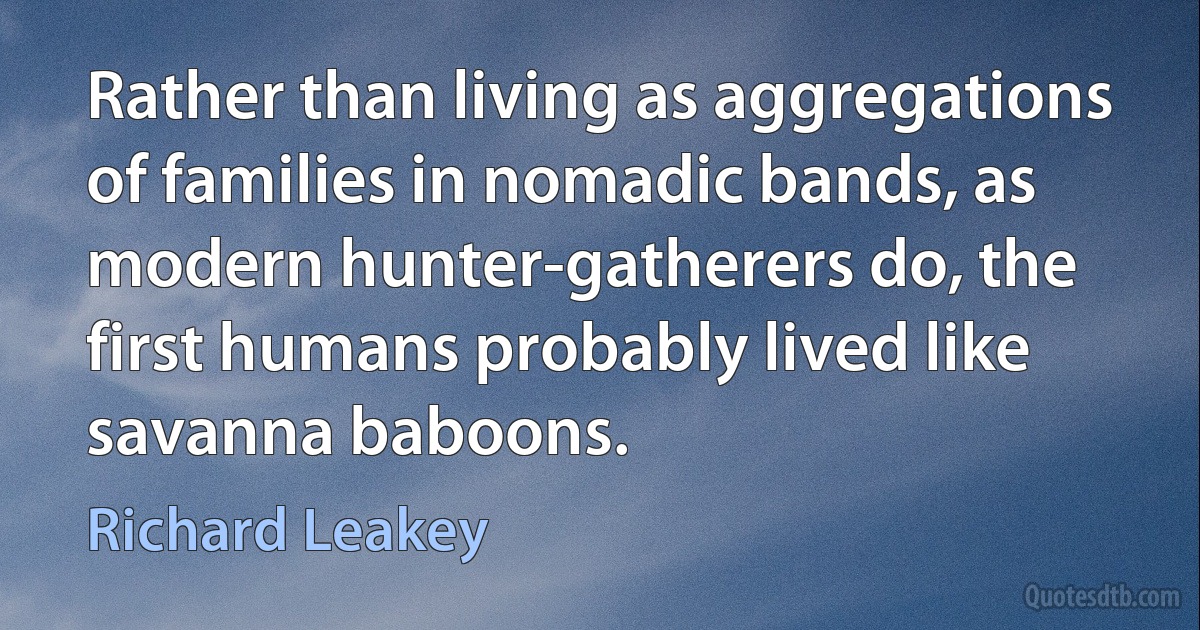 Rather than living as aggregations of families in nomadic bands, as modern hunter-gatherers do, the first humans probably lived like savanna baboons. (Richard Leakey)