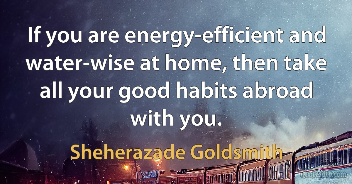 If you are energy-efficient and water-wise at home, then take all your good habits abroad with you. (Sheherazade Goldsmith)