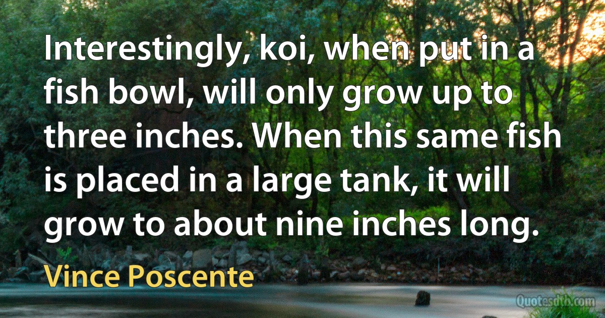 Interestingly, koi, when put in a fish bowl, will only grow up to three inches. When this same fish is placed in a large tank, it will grow to about nine inches long. (Vince Poscente)