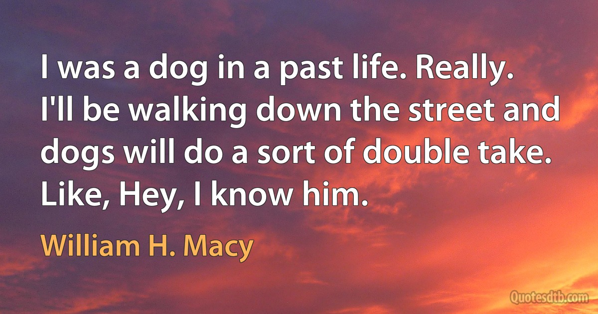 I was a dog in a past life. Really. I'll be walking down the street and dogs will do a sort of double take. Like, Hey, I know him. (William H. Macy)