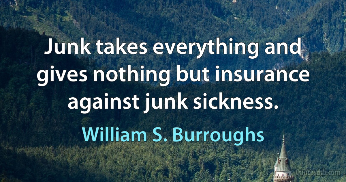 Junk takes everything and gives nothing but insurance against junk sickness. (William S. Burroughs)