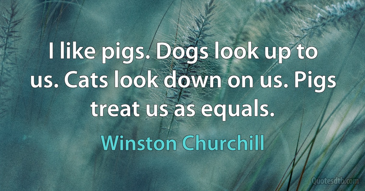 I like pigs. Dogs look up to us. Cats look down on us. Pigs treat us as equals. (Winston Churchill)