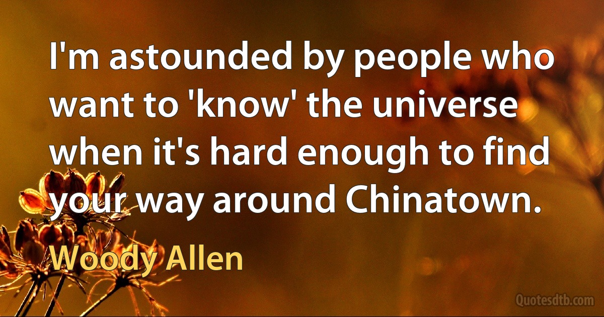 I'm astounded by people who want to 'know' the universe when it's hard enough to find your way around Chinatown. (Woody Allen)