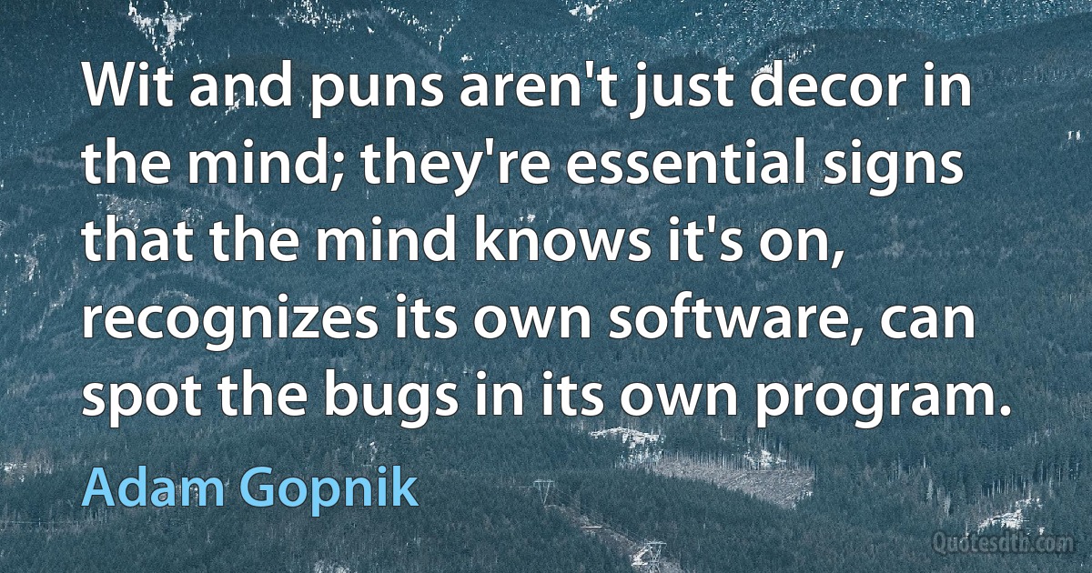 Wit and puns aren't just decor in the mind; they're essential signs that the mind knows it's on, recognizes its own software, can spot the bugs in its own program. (Adam Gopnik)