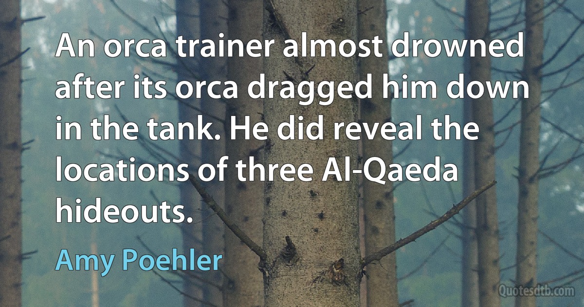 An orca trainer almost drowned after its orca dragged him down in the tank. He did reveal the locations of three Al-Qaeda hideouts. (Amy Poehler)