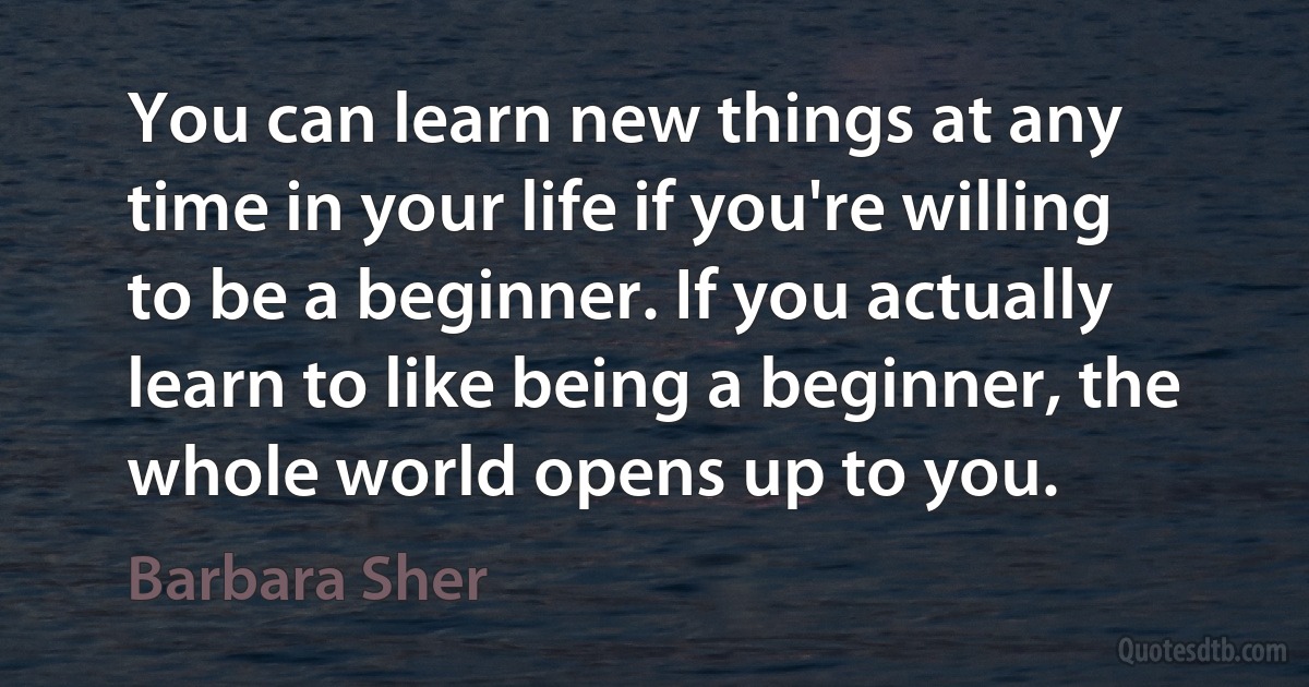 You can learn new things at any time in your life if you're willing to be a beginner. If you actually learn to like being a beginner, the whole world opens up to you. (Barbara Sher)