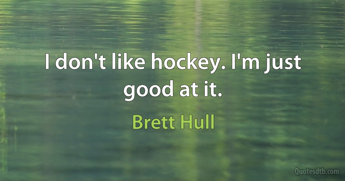 I don't like hockey. I'm just good at it. (Brett Hull)