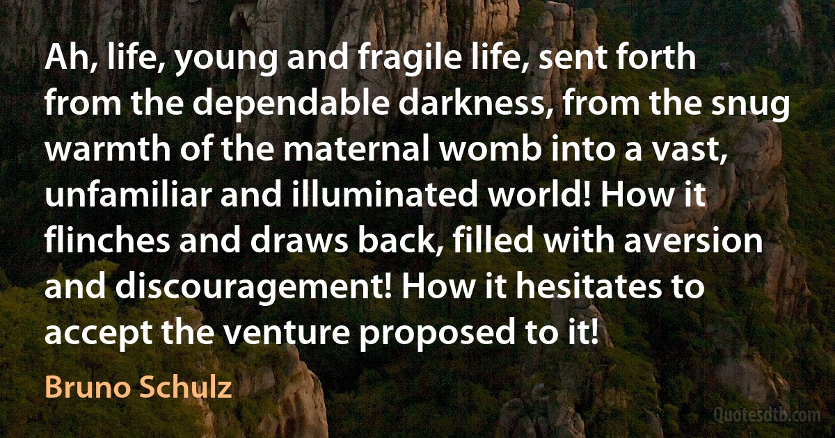 Ah, life, young and fragile life, sent forth from the dependable darkness, from the snug warmth of the maternal womb into a vast, unfamiliar and illuminated world! How it flinches and draws back, filled with aversion and discouragement! How it hesitates to accept the venture proposed to it! (Bruno Schulz)