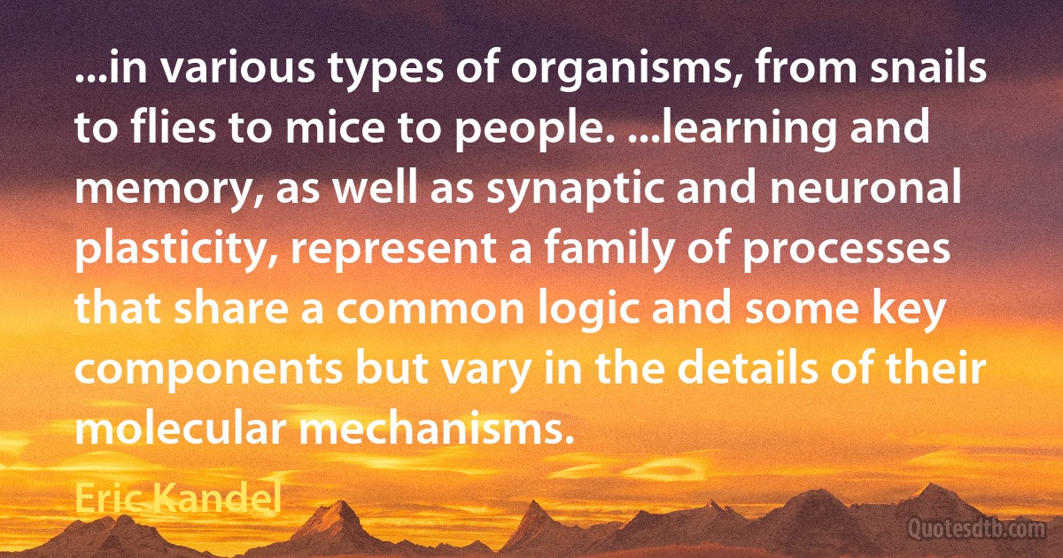 ...in various types of organisms, from snails to flies to mice to people. ...learning and memory, as well as synaptic and neuronal plasticity, represent a family of processes that share a common logic and some key components but vary in the details of their molecular mechanisms. (Eric Kandel)