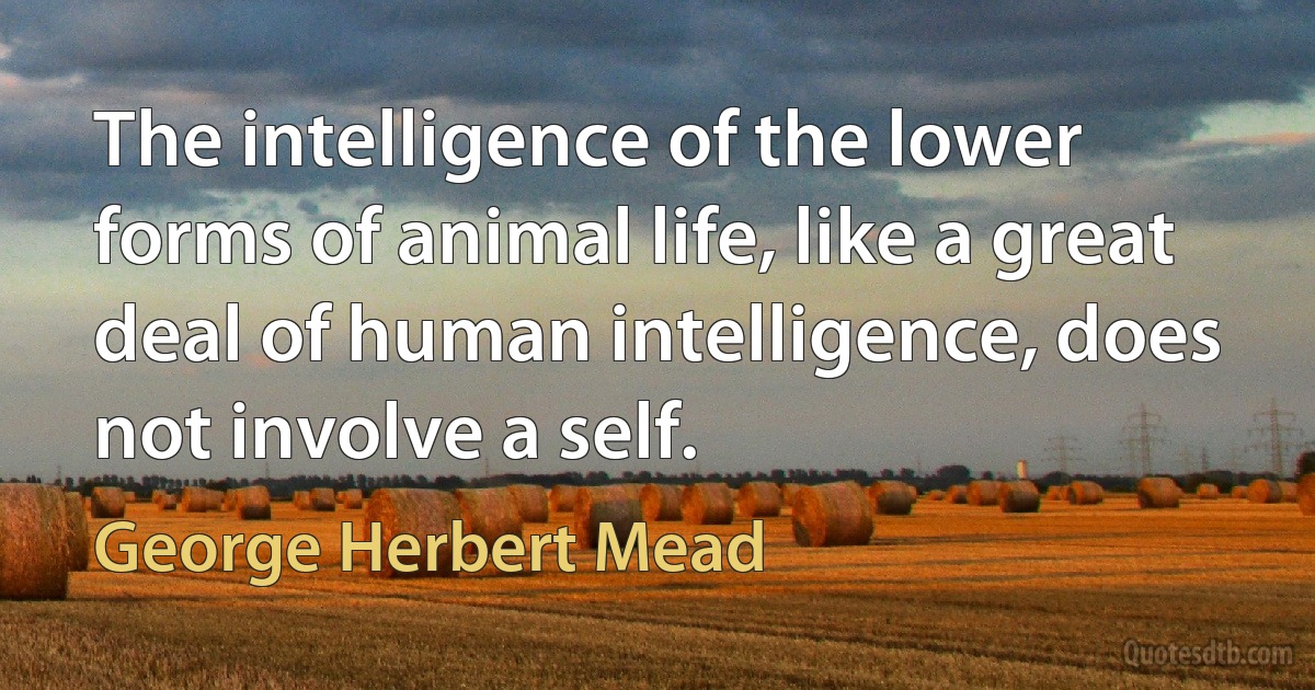 The intelligence of the lower forms of animal life, like a great deal of human intelligence, does not involve a self. (George Herbert Mead)