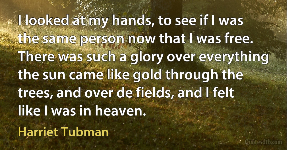 I looked at my hands, to see if I was the same person now that I was free. There was such a glory over everything the sun came like gold through the trees, and over de fields, and I felt like I was in heaven. (Harriet Tubman)