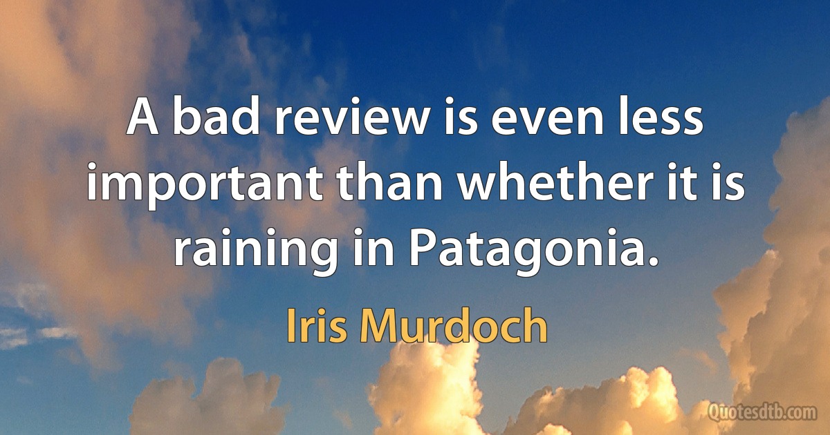 A bad review is even less important than whether it is raining in Patagonia. (Iris Murdoch)