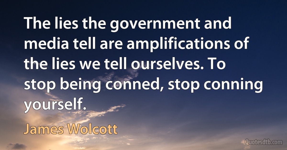 The lies the government and media tell are amplifications of the lies we tell ourselves. To stop being conned, stop conning yourself. (James Wolcott)