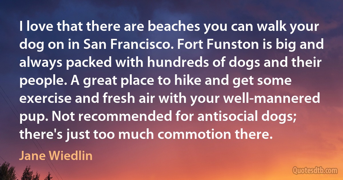 I love that there are beaches you can walk your dog on in San Francisco. Fort Funston is big and always packed with hundreds of dogs and their people. A great place to hike and get some exercise and fresh air with your well-mannered pup. Not recommended for antisocial dogs; there's just too much commotion there. (Jane Wiedlin)