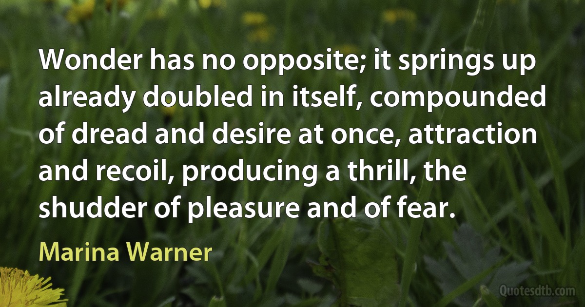 Wonder has no opposite; it springs up already doubled in itself, compounded of dread and desire at once, attraction and recoil, producing a thrill, the shudder of pleasure and of fear. (Marina Warner)