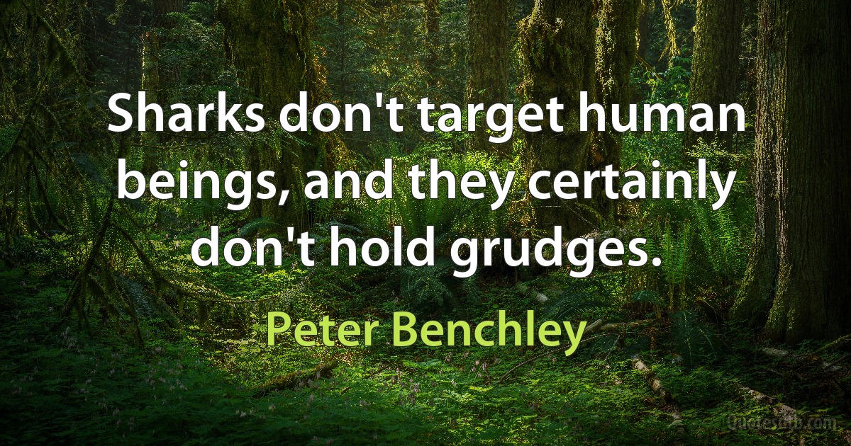 Sharks don't target human beings, and they certainly don't hold grudges. (Peter Benchley)