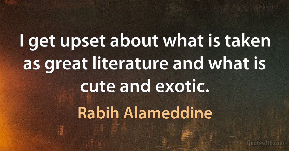 I get upset about what is taken as great literature and what is cute and exotic. (Rabih Alameddine)