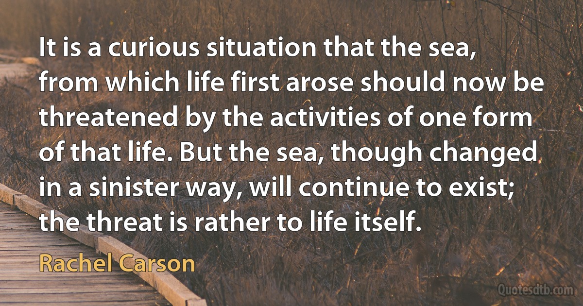 It is a curious situation that the sea, from which life first arose should now be threatened by the activities of one form of that life. But the sea, though changed in a sinister way, will continue to exist; the threat is rather to life itself. (Rachel Carson)