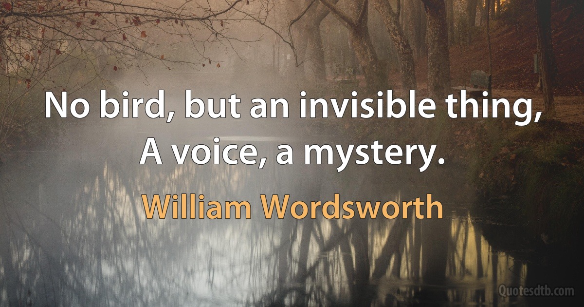 No bird, but an invisible thing,
A voice, a mystery. (William Wordsworth)