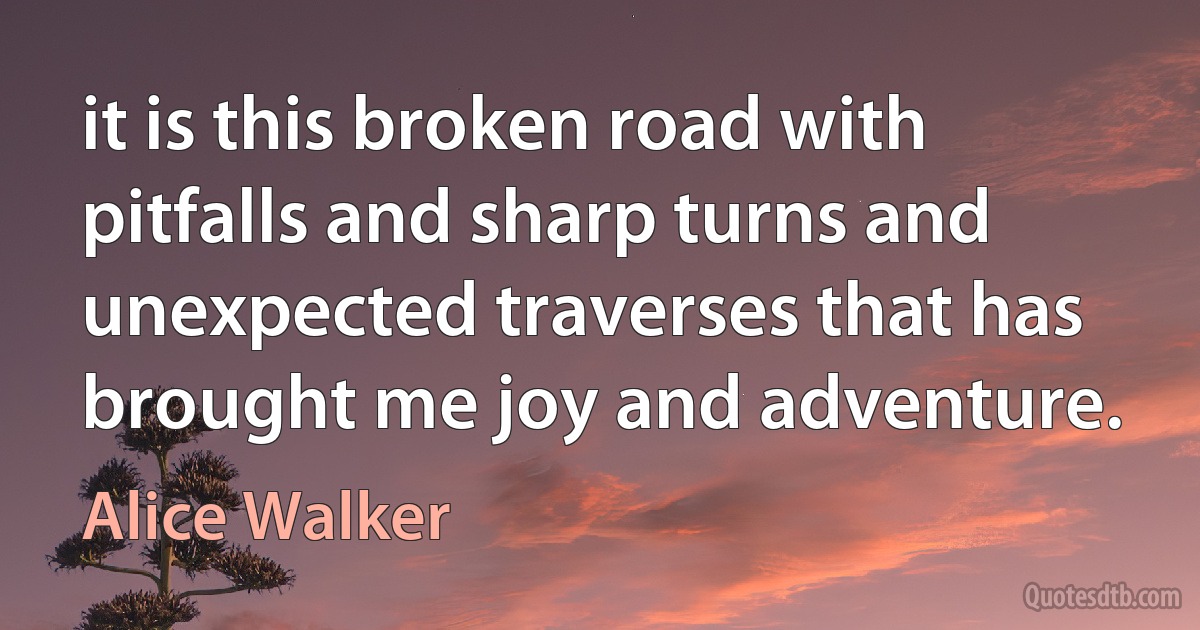 it is this broken road with pitfalls and sharp turns and unexpected traverses that has brought me joy and adventure. (Alice Walker)