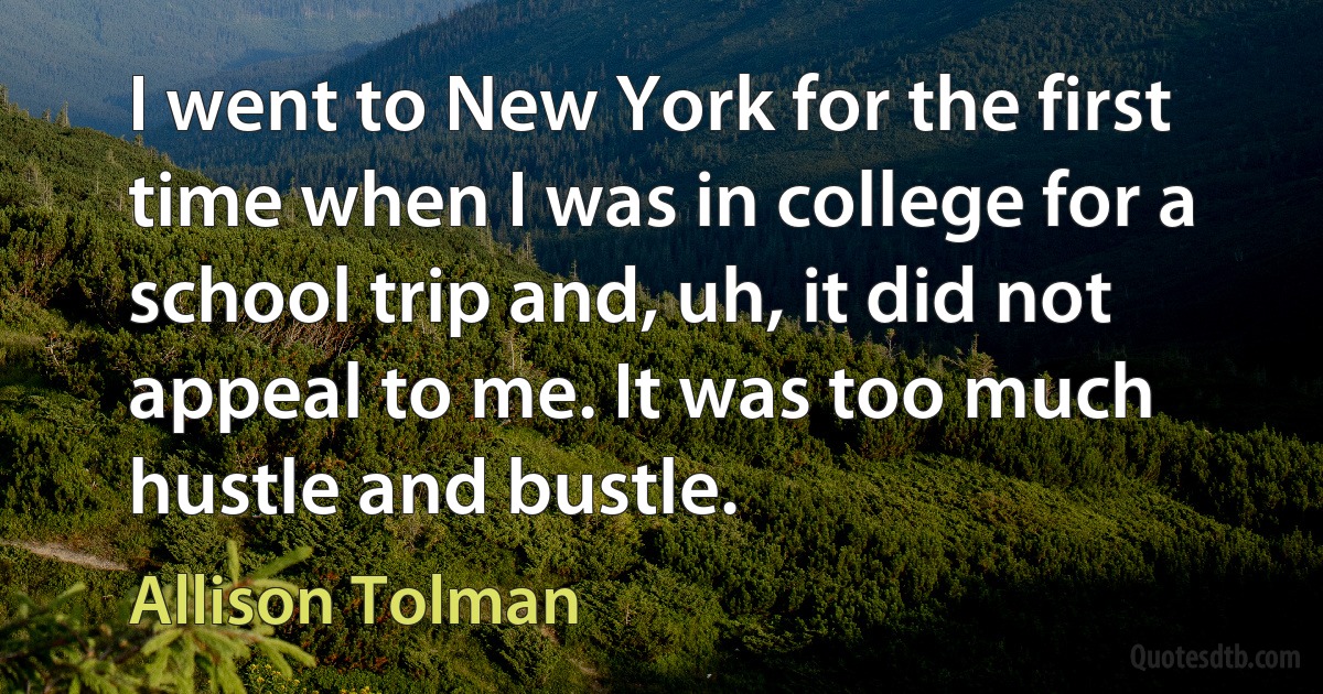 I went to New York for the first time when I was in college for a school trip and, uh, it did not appeal to me. It was too much hustle and bustle. (Allison Tolman)