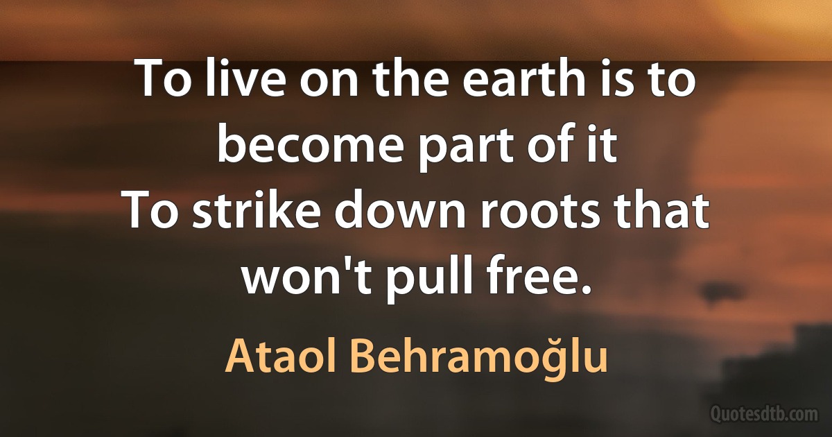 To live on the earth is to become part of it
To strike down roots that won't pull free. (Ataol Behramoğlu)