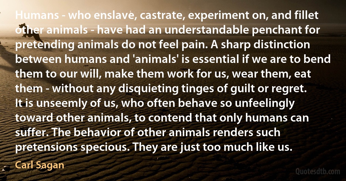 Humans - who enslave, castrate, experiment on, and fillet other animals - have had an understandable penchant for pretending animals do not feel pain. A sharp distinction between humans and 'animals' is essential if we are to bend them to our will, make them work for us, wear them, eat them - without any disquieting tinges of guilt or regret. It is unseemly of us, who often behave so unfeelingly toward other animals, to contend that only humans can suffer. The behavior of other animals renders such pretensions specious. They are just too much like us. (Carl Sagan)