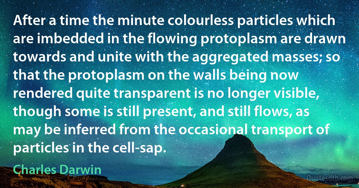 After a time the minute colourless particles which are imbedded in the flowing protoplasm are drawn towards and unite with the aggregated masses; so that the protoplasm on the walls being now rendered quite transparent is no longer visible, though some is still present, and still flows, as may be inferred from the occasional transport of particles in the cell-sap. (Charles Darwin)