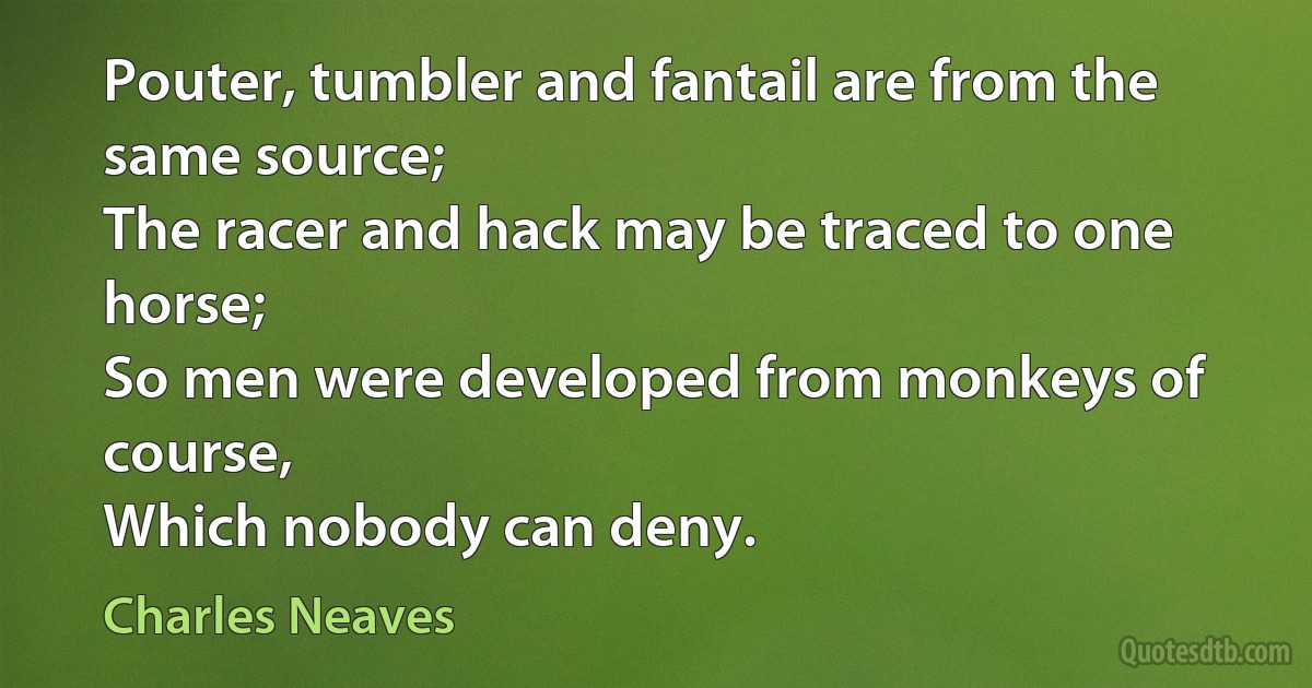 Pouter, tumbler and fantail are from the same source;
The racer and hack may be traced to one horse;
So men were developed from monkeys of course,
Which nobody can deny. (Charles Neaves)