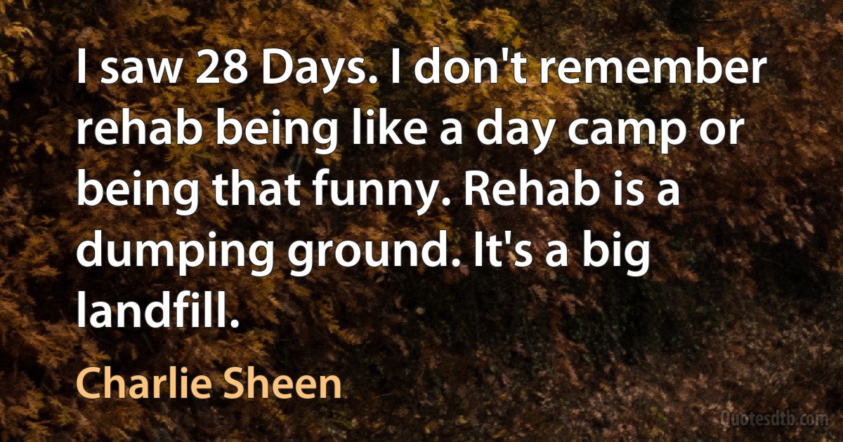 I saw 28 Days. I don't remember rehab being like a day camp or being that funny. Rehab is a dumping ground. It's a big landfill. (Charlie Sheen)