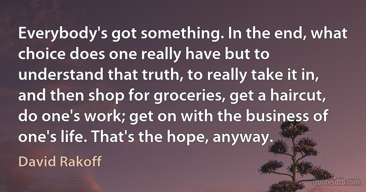 Everybody's got something. In the end, what choice does one really have but to understand that truth, to really take it in, and then shop for groceries, get a haircut, do one's work; get on with the business of one's life. That's the hope, anyway. (David Rakoff)