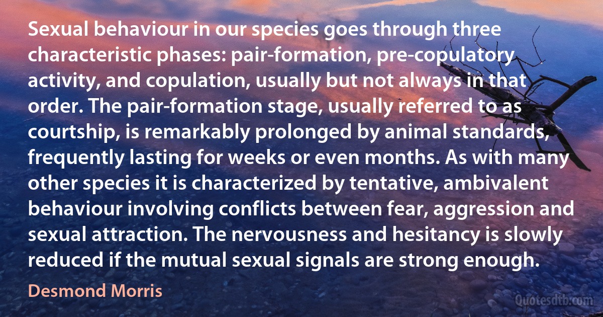 Sexual behaviour in our species goes through three characteristic phases: pair-formation, pre-copulatory activity, and copulation, usually but not always in that order. The pair-formation stage, usually referred to as courtship, is remarkably prolonged by animal standards, frequently lasting for weeks or even months. As with many other species it is characterized by tentative, ambivalent behaviour involving conflicts between fear, aggression and sexual attraction. The nervousness and hesitancy is slowly reduced if the mutual sexual signals are strong enough. (Desmond Morris)