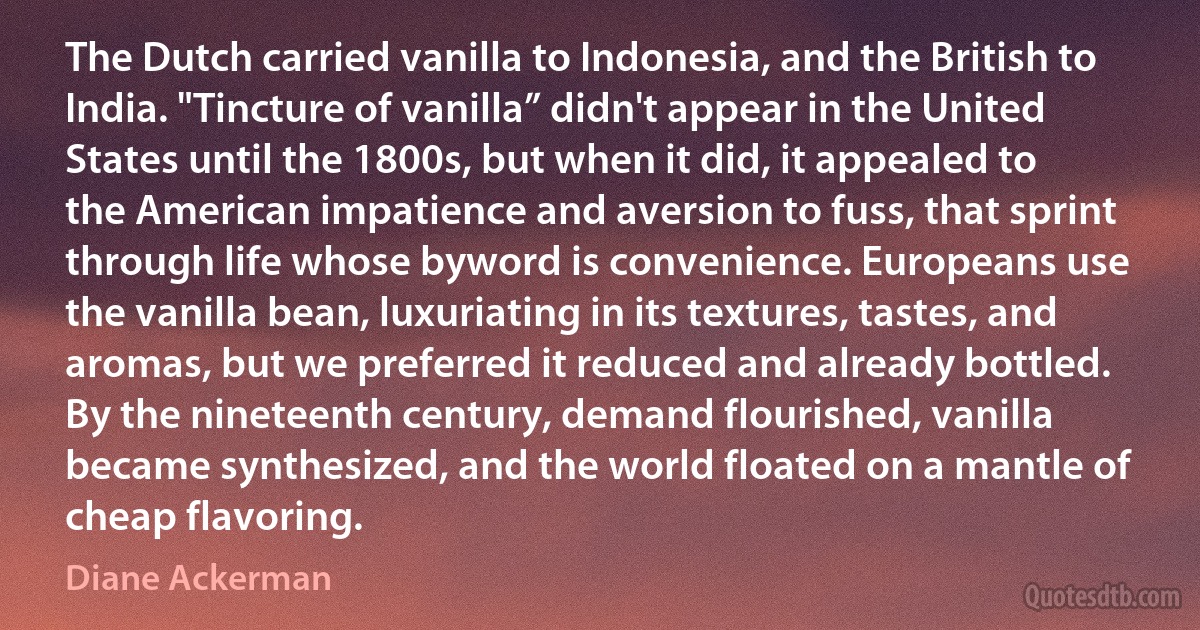 The Dutch carried vanilla to Indonesia, and the British to India. "Tincture of vanilla” didn't appear in the United States until the 1800s, but when it did, it appealed to the American impatience and aversion to fuss, that sprint through life whose byword is convenience. Europeans use the vanilla bean, luxuriating in its textures, tastes, and aromas, but we preferred it reduced and already bottled. By the nineteenth century, demand flourished, vanilla became synthesized, and the world floated on a mantle of cheap flavoring. (Diane Ackerman)