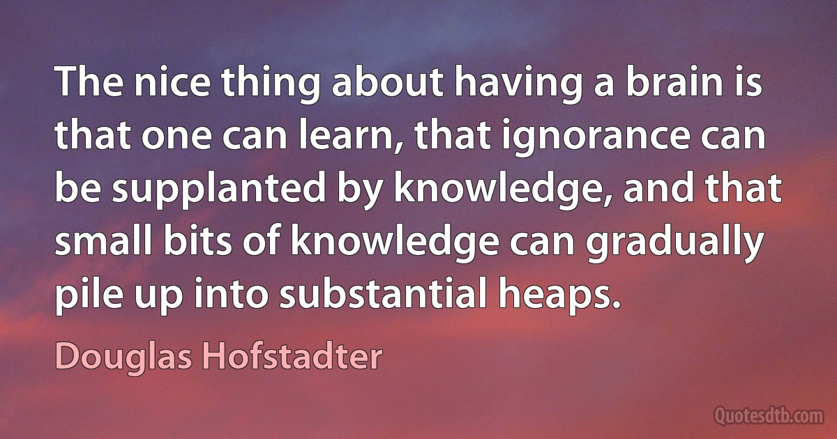 The nice thing about having a brain is that one can learn, that ignorance can be supplanted by knowledge, and that small bits of knowledge can gradually pile up into substantial heaps. (Douglas Hofstadter)