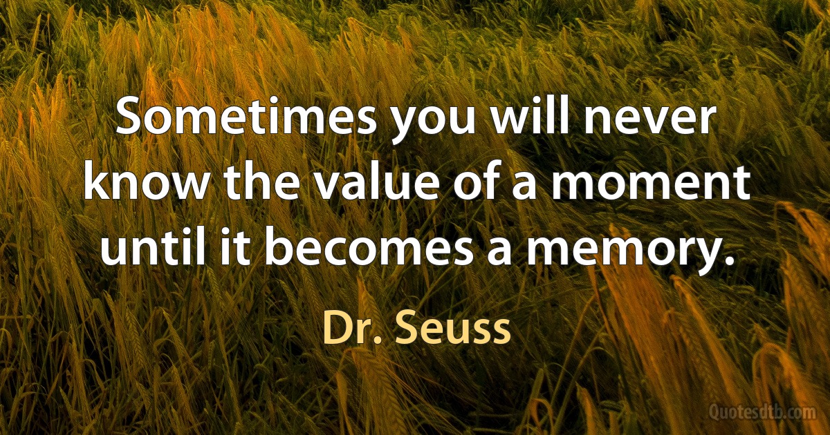 Sometimes you will never know the value of a moment until it becomes a memory. (Dr. Seuss)