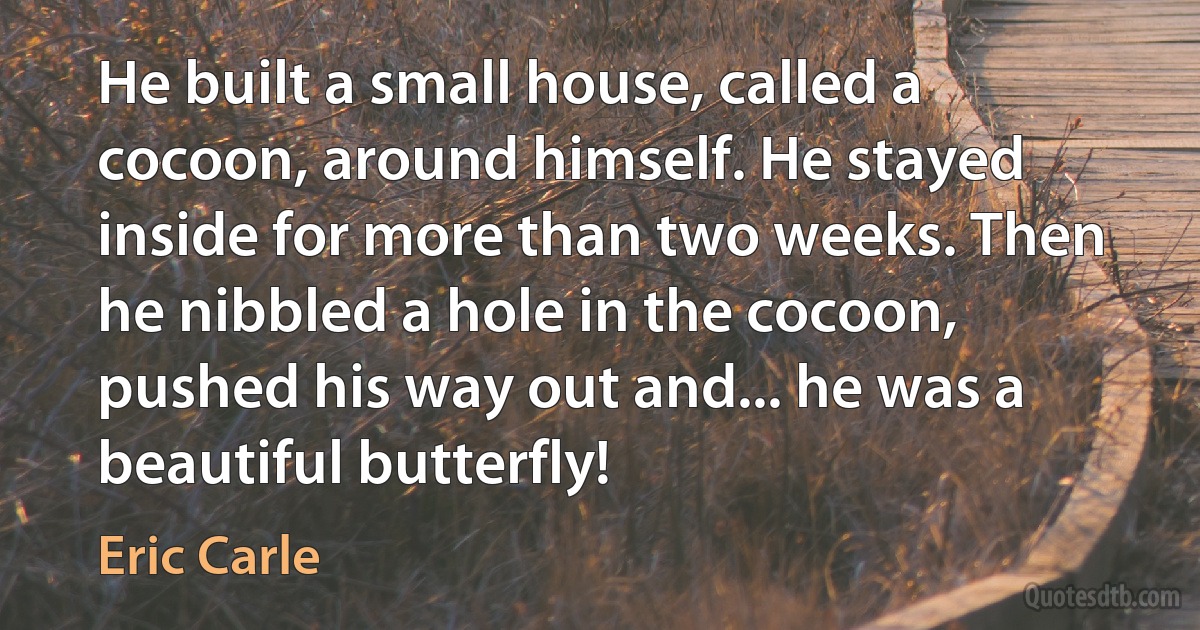 He built a small house, called a cocoon, around himself. He stayed inside for more than two weeks. Then he nibbled a hole in the cocoon, pushed his way out and... he was a beautiful butterfly! (Eric Carle)