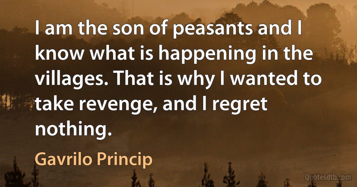 I am the son of peasants and I know what is happening in the villages. That is why I wanted to take revenge, and I regret nothing. (Gavrilo Princip)