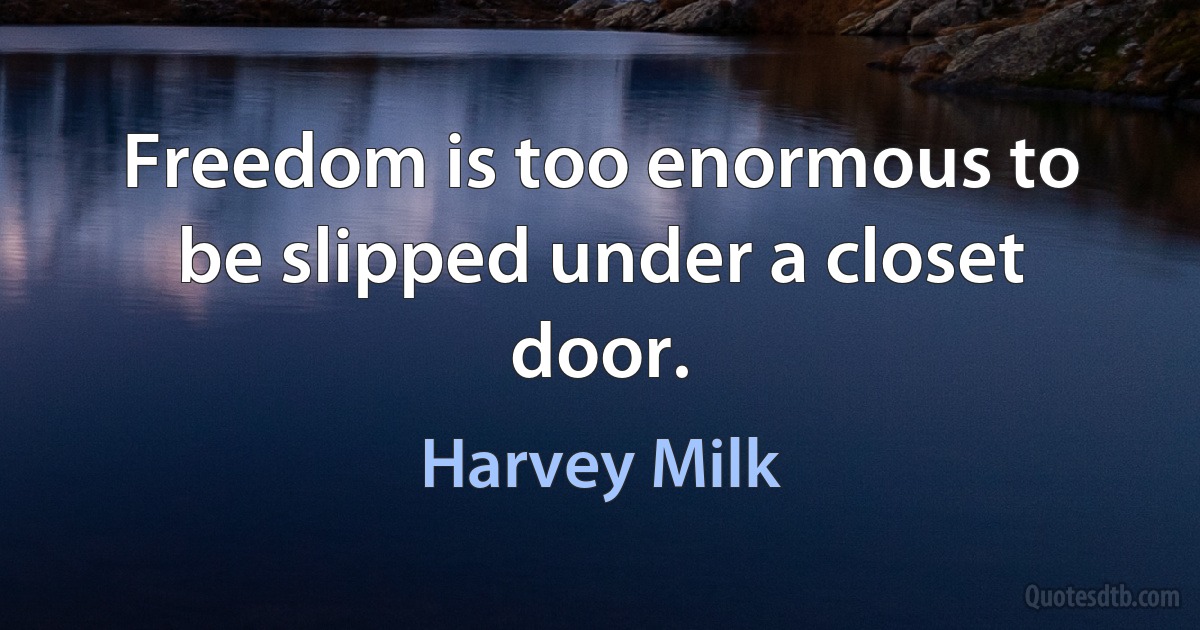 Freedom is too enormous to be slipped under a closet door. (Harvey Milk)