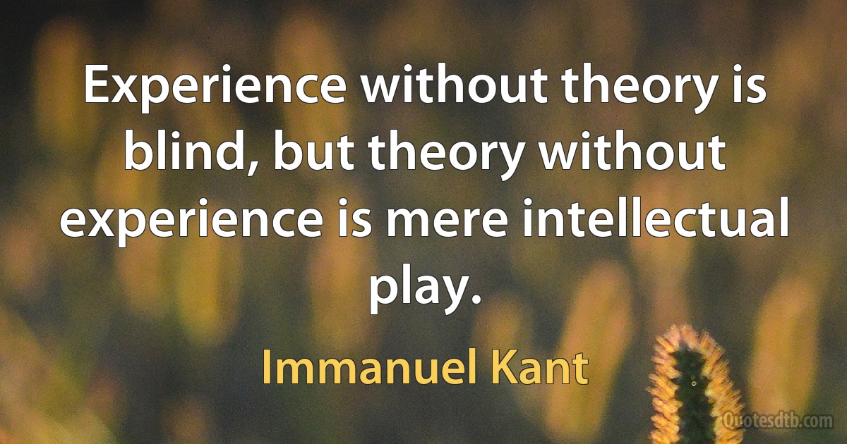 Experience without theory is blind, but theory without experience is mere intellectual play. (Immanuel Kant)