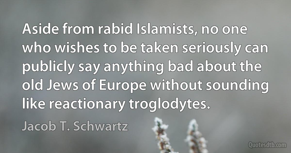 Aside from rabid Islamists, no one who wishes to be taken seriously can publicly say anything bad about the old Jews of Europe without sounding like reactionary troglodytes. (Jacob T. Schwartz)