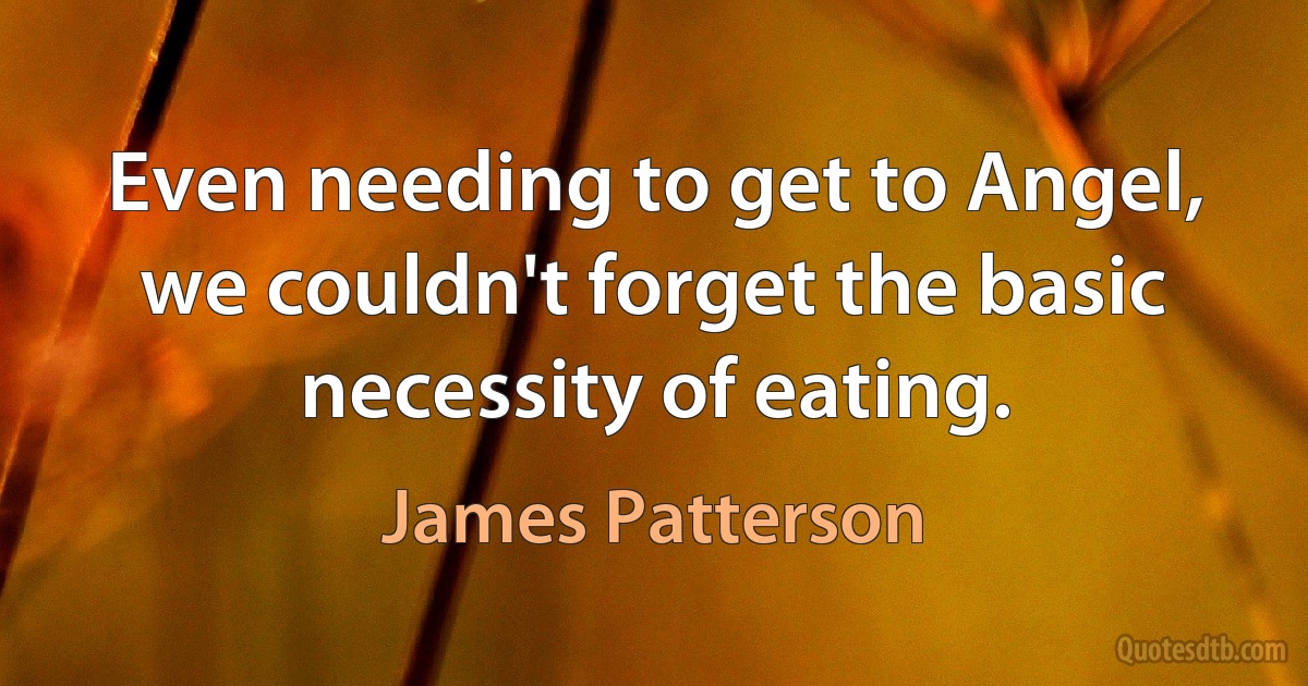 Even needing to get to Angel, we couldn't forget the basic necessity of eating. (James Patterson)