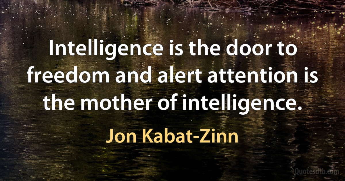 Intelligence is the door to freedom and alert attention is the mother of intelligence. (Jon Kabat-Zinn)