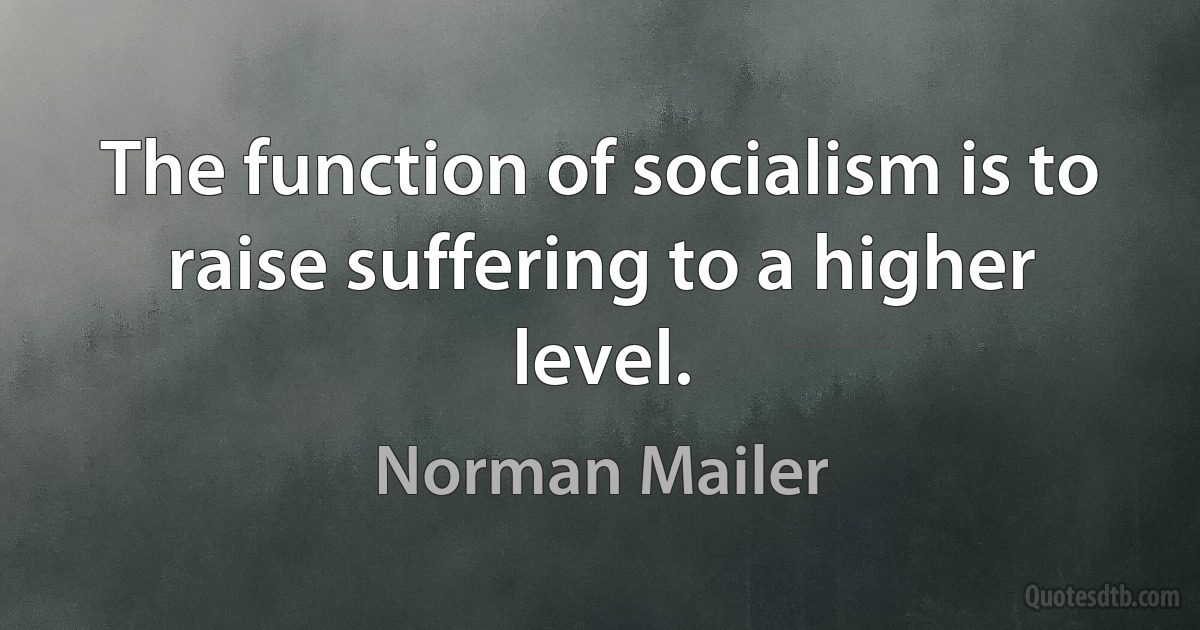 The function of socialism is to raise suffering to a higher level. (Norman Mailer)