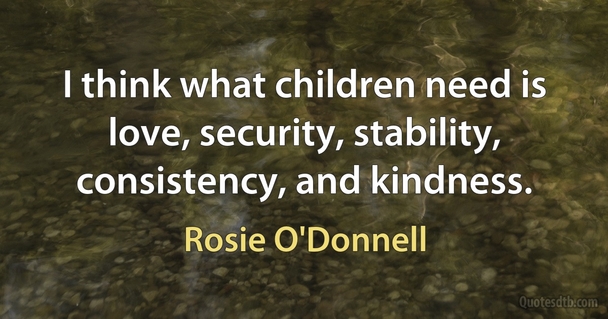 I think what children need is love, security, stability, consistency, and kindness. (Rosie O'Donnell)