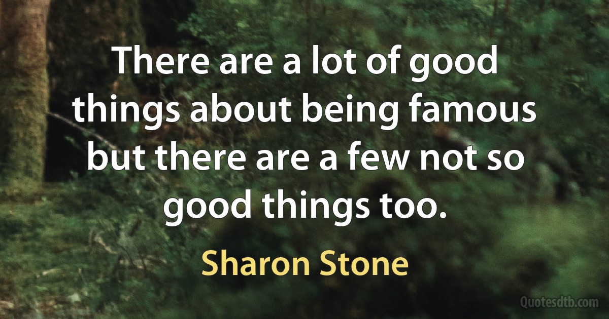 There are a lot of good things about being famous but there are a few not so good things too. (Sharon Stone)